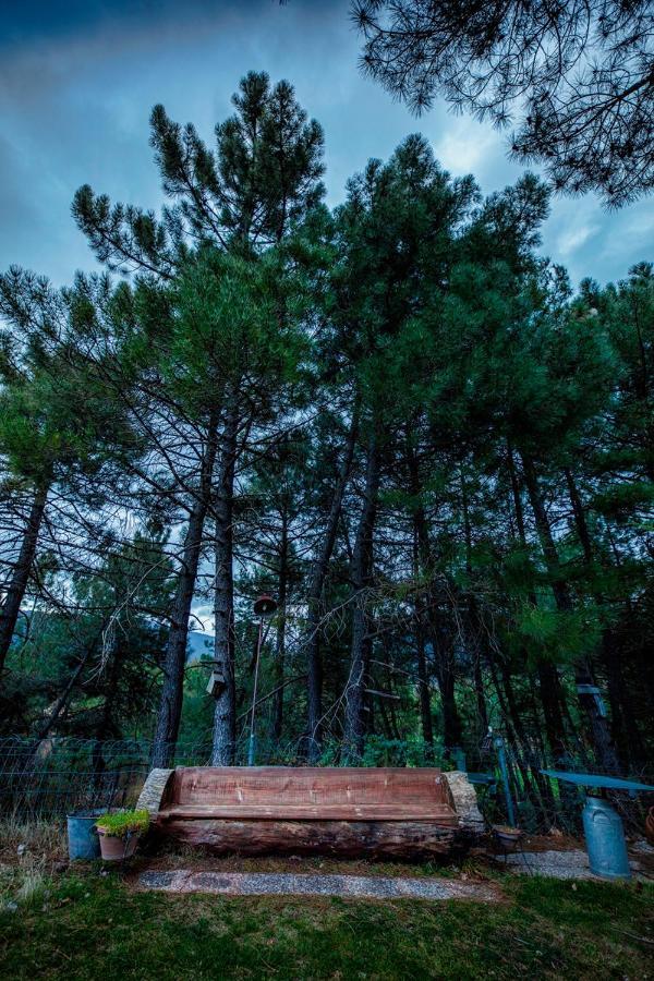 Bed and Breakfast Royo Guarde, junto al río Mundo Riópar Exterior foto